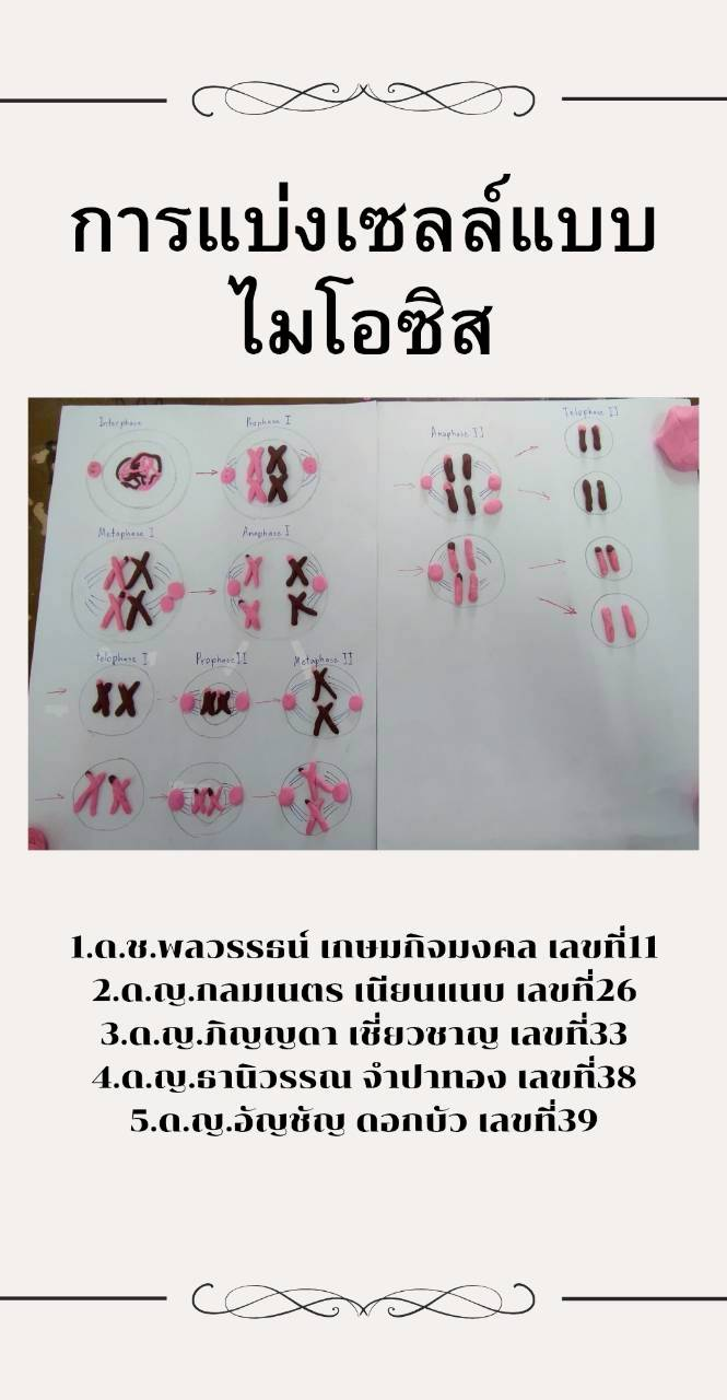 ภาพประกอบผลงานครูลิตาพัชร์